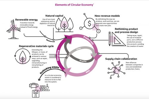 Diagram of elements of a circular economy 