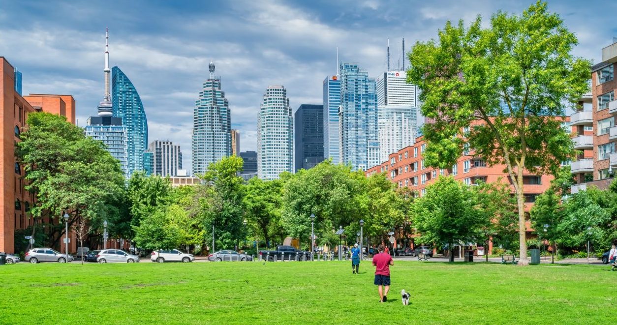 City green space or park in Toronto featuring person and dog and city buildings in background