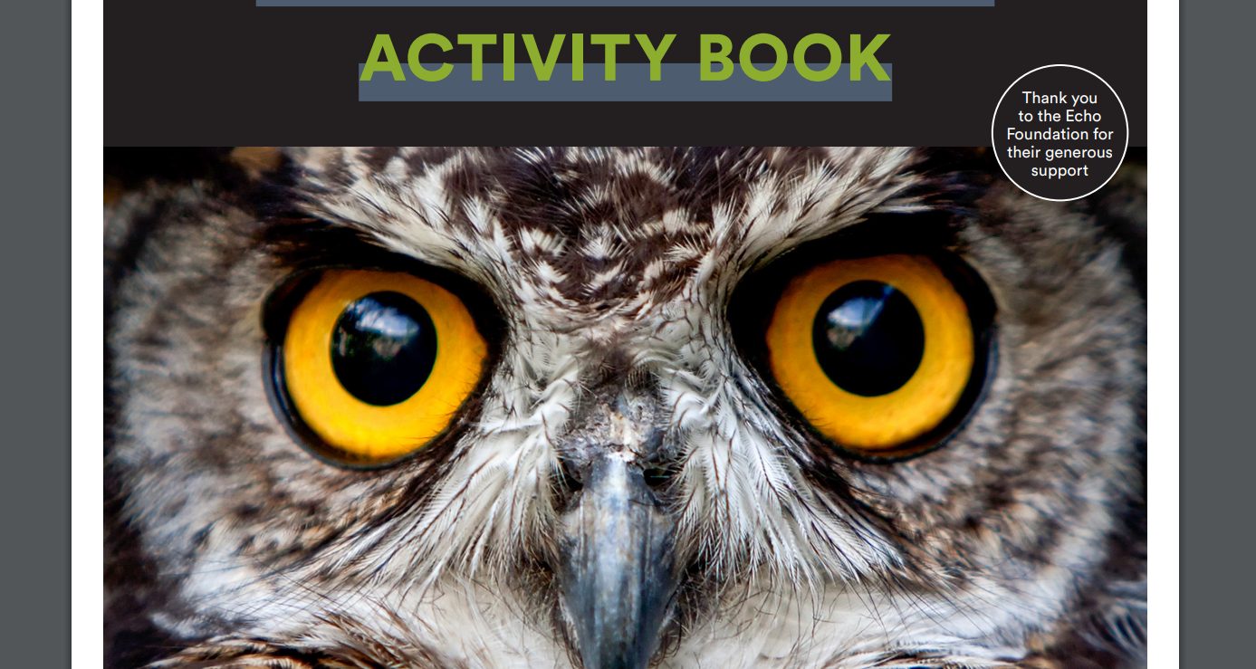 Cover of the Activity book features a close-up photograph of an owl's face
