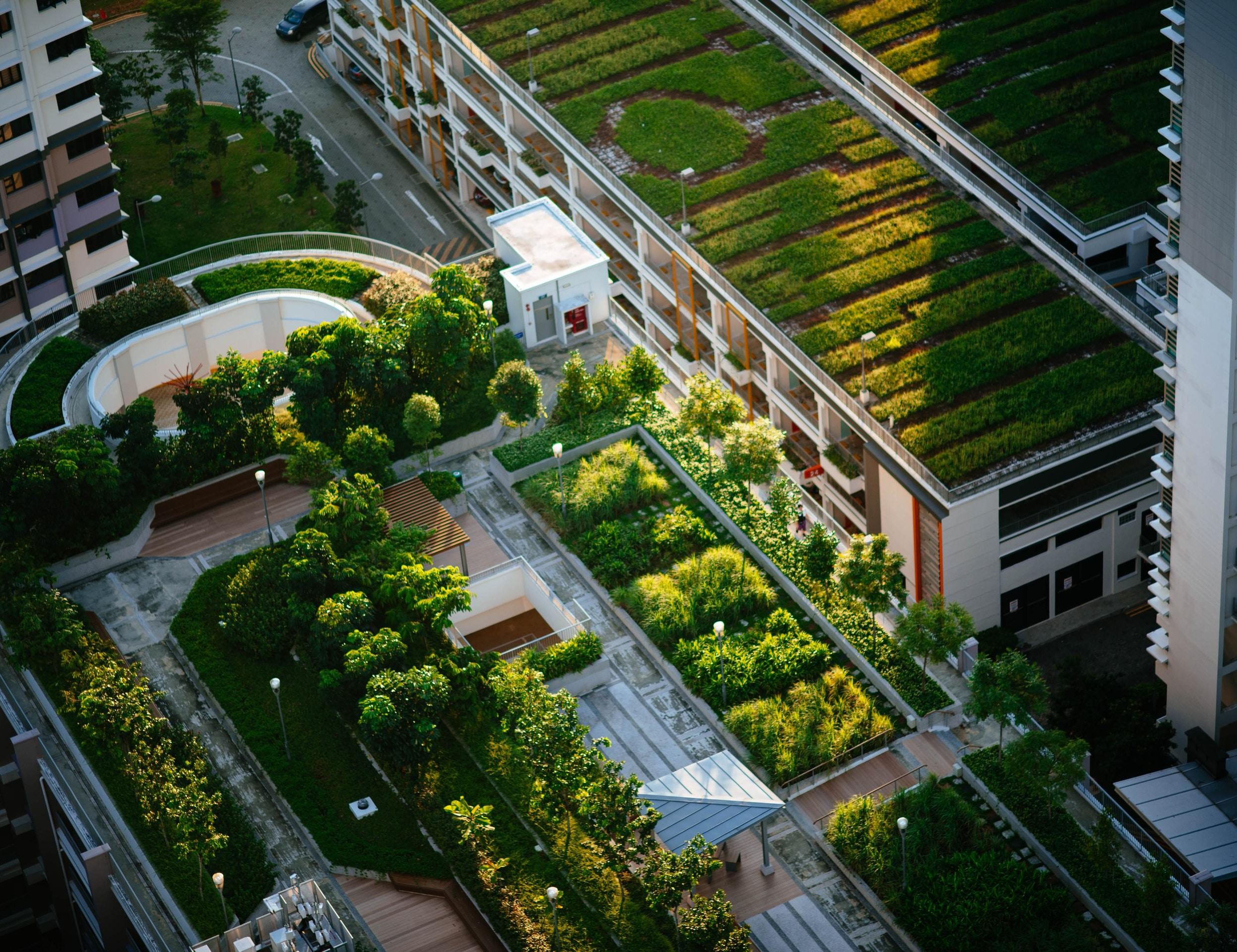 Photograph from above of buildings with living green roofs.