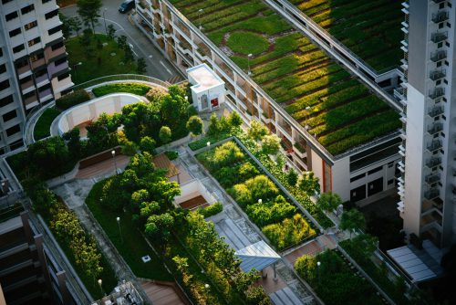 Photograph from above of buildings with living green roofs.
